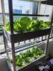 3 Layers 42 Holes Vertical Hydroponics Growing System with LED Light